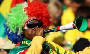 A Ghana fan blows a vuvuzela during the 2010 World Cup in South Africa